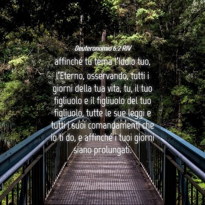 Picture 04 - Deuteronomio 6:2 RIV - affinché tu tema l’Iddio tuo, l’Eterno, - Bible Verse Picture