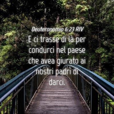 Picture 04 - Deuteronomio 6:23 RIV - E ci trasse di là per condurci nel paese che - Bible Verse Picture