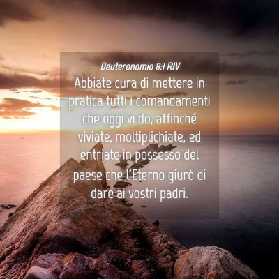 Picture 04 - Deuteronomio 8:1 RIV - Abbiate cura di mettere in pratica tutti i - Bible Verse Picture
