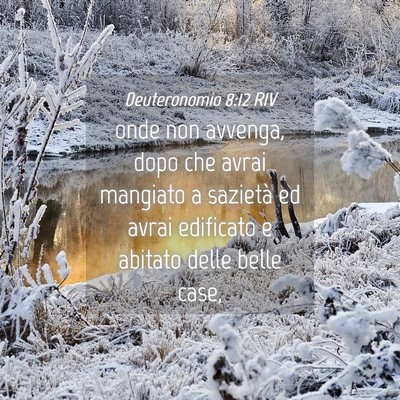 Picture 04 - Deuteronomio 8:12 RIV - onde non avvenga, dopo che avrai mangiato a - Bible Verse Picture