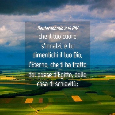 Picture 04 - Deuteronomio 8:14 RIV - che il tuo cuore s’innalzi, e tu dimentichi il - Bible Verse Picture