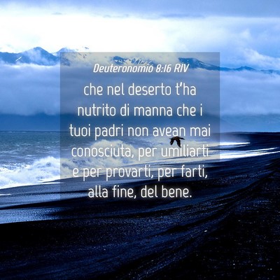 Picture 04 - Deuteronomio 8:16 RIV - che nel deserto t’ha nutrito di manna che i - Bible Verse Picture