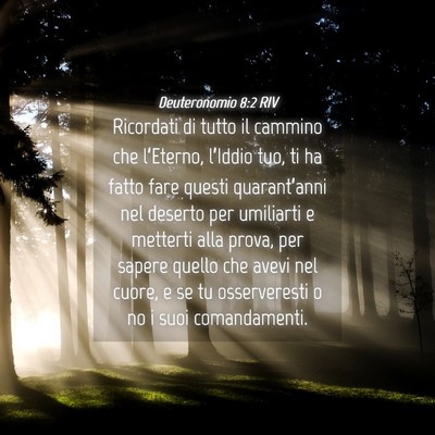 Picture 04 - Deuteronomio 8:2 RIV - Ricordati di tutto il cammino che l’Eterno, - Bible Verse Picture