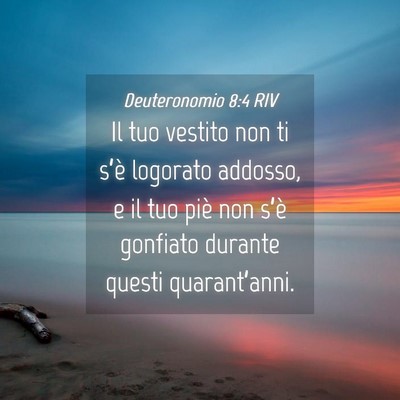 Picture 04 - Deuteronomio 8:4 RIV - Il tuo vestito non ti s’è logorato addosso, e - Bible Verse Picture