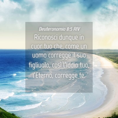Picture 04 - Deuteronomio 8:5 RIV - Riconosci dunque in cuor tuo che, come un uomo - Bible Verse Picture