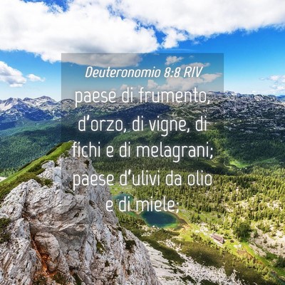 Picture 04 - Deuteronomio 8:8 RIV - paese di frumento, d’orzo, di vigne, di fichi e - Bible Verse Picture