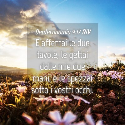 Picture 04 - Deuteronomio 9:17 RIV - E afferrai le due tavole, le gettai dalle mie due - Bible Verse Picture
