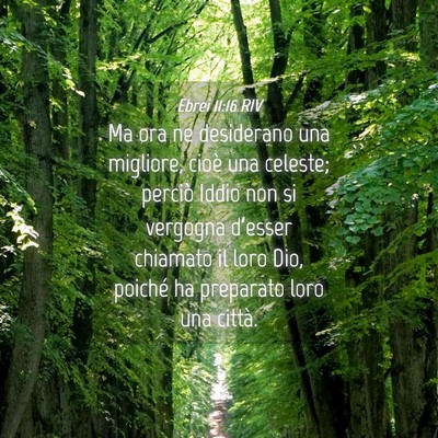 Picture 04 - Ebrei 11:16 RIV - Ma ora ne desiderano una migliore, cioè una - Bible Verse Picture