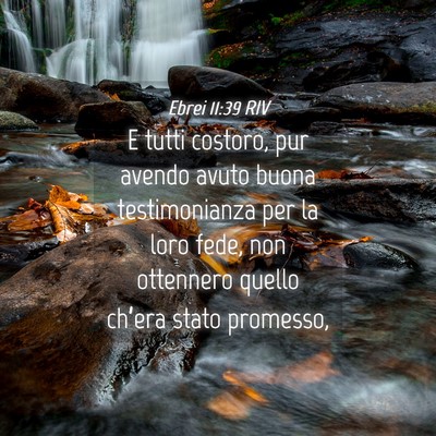 Picture 04 - Ebrei 11:39 RIV - E tutti costoro, pur avendo avuto buona - Bible Verse Picture