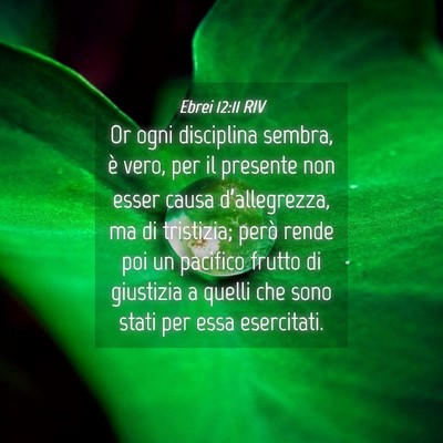 Picture 04 - Ebrei 12:11 RIV - Or ogni disciplina sembra, è vero, per il - Bible Verse Picture