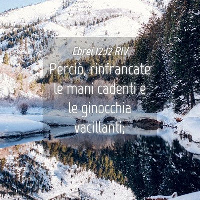 Picture 04 - Ebrei 12:12 RIV - Perciò, rinfrancate le mani cadenti e le - Bible Verse Picture