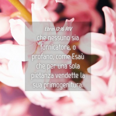 Picture 04 - Ebrei 12:16 RIV - che nessuno sia fornicatore, o profano, come - Bible Verse Picture