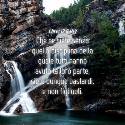 Picture 04 - Ebrei 12:8 RIV - Che se siete senza quella disciplina della quale - Bible Verse Picture