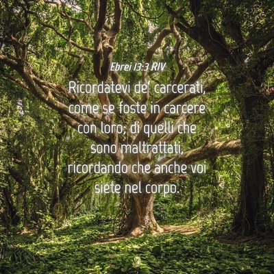Picture 04 - Ebrei 13:3 RIV - Ricordatevi de’ carcerati, come se foste in - Bible Verse Picture