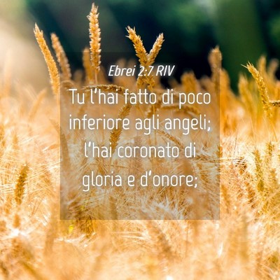 Picture 04 - Ebrei 2:7 RIV - Tu l’hai fatto di poco inferiore agli angeli; - Bible Verse Picture