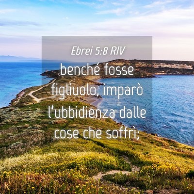 Picture 04 - Ebrei 5:8 RIV - benché fosse figliuolo, imparò l’ubbidienza - Bible Verse Picture