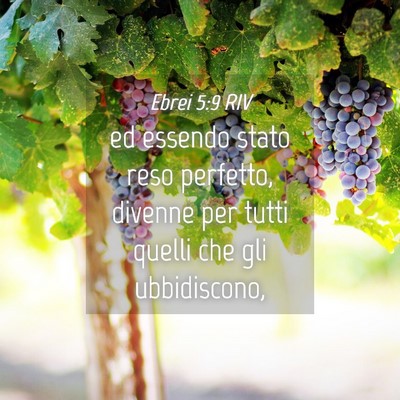 Picture 04 - Ebrei 5:9 RIV - ed essendo stato reso perfetto, divenne per tutti - Bible Verse Picture
