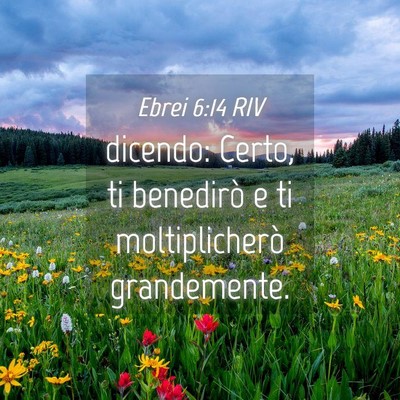 Picture 04 - Ebrei 6:14 RIV - dicendo: Certo, ti benedirò e ti moltiplicherò - Bible Verse Picture