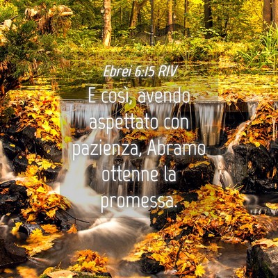 Picture 04 - Ebrei 6:15 RIV - E così, avendo aspettato con pazienza, Abramo - Bible Verse Picture