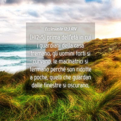 Picture 04 - Ecclesiaste 12:3 RIV - (H12-5) prima dell’età in cui i guardiani - Bible Verse Picture