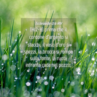 Picture 04 - Ecclesiaste 12:6 RIV - (H12-8) prima che il cordone d’argento si - Bible Verse Picture