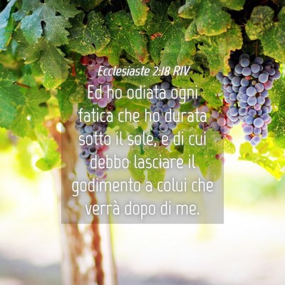 Picture 04 - Ecclesiaste 2:18 RIV - Ed ho odiata ogni fatica che ho durata sotto il - Bible Verse Picture