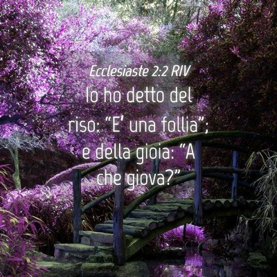 Picture 04 - Ecclesiaste 2:2 RIV - Io ho detto del riso: “E’ una follia”; e - Bible Verse Picture