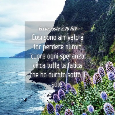 Picture 04 - Ecclesiaste 2:20 RIV - Così sono arrivato a far perdere al mio cuore - Bible Verse Picture