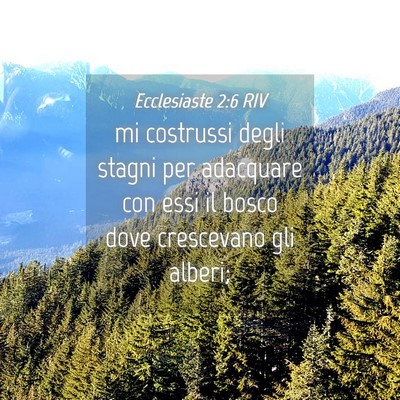 Picture 04 - Ecclesiaste 2:6 RIV - mi costrussi degli stagni per adacquare con essi - Bible Verse Picture