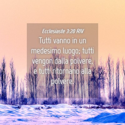 Picture 04 - Ecclesiaste 3:20 RIV - Tutti vanno in un medesimo luogo; tutti vengon - Bible Verse Picture