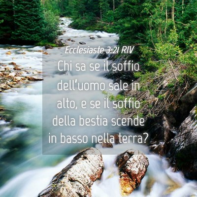 Picture 04 - Ecclesiaste 3:21 RIV - Chi sa se il soffio dell’uomo sale in alto, e - Bible Verse Picture