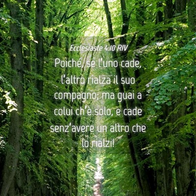Picture 04 - Ecclesiaste 4:10 RIV - Poiché, se l’uno cade, l’altro rialza il suo - Bible Verse Picture