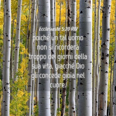 Picture 04 - Ecclesiaste 5:20 RIV - poiché un tal uomo non si ricorderà troppo dei - Bible Verse Picture