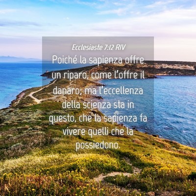 Picture 04 - Ecclesiaste 7:12 RIV - Poiché la sapienza offre un riparo, come - Bible Verse Picture