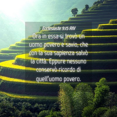 Picture 04 - Ecclesiaste 9:15 RIV - Ora in essa si trovò un uomo povero e savio, che - Bible Verse Picture
