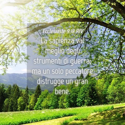 Picture 04 - Ecclesiaste 9:18 RIV - La sapienza val meglio degli strumenti di guerra; - Bible Verse Picture