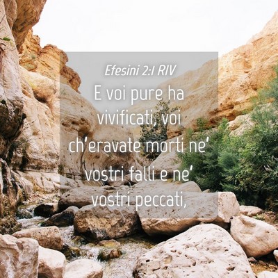 Picture 04 - Efesini 2:1 RIV - E voi pure ha vivificati, voi ch’eravate morti - Bible Verse Picture