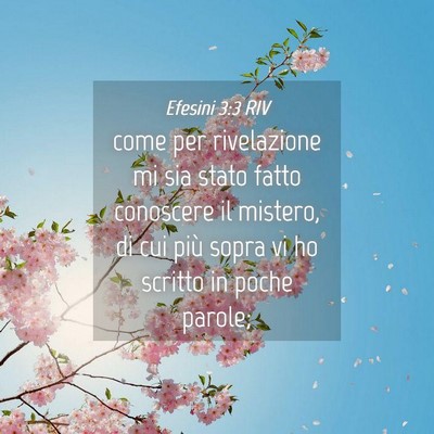 Picture 04 - Efesini 3:3 RIV - come per rivelazione mi sia stato fatto conoscere - Bible Verse Picture