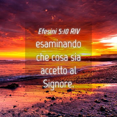 Picture 04 - Efesini 5:10 RIV - esaminando che cosa sia accetto al - Bible Verse Picture