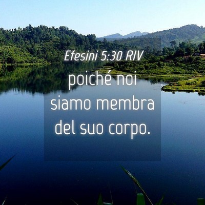 Picture 04 - Efesini 5:30 RIV - poiché noi siamo membra del suo - Bible Verse Picture