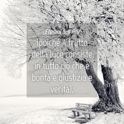 Picture 04 - Efesini 5:9 RIV - (poiché il frutto della luce consiste in tutto - Bible Verse Picture
