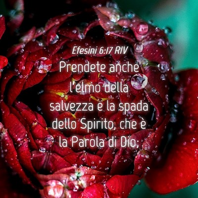 Picture 04 - Efesini 6:17 RIV - Prendete anche l’elmo della salvezza e la spada - Bible Verse Picture