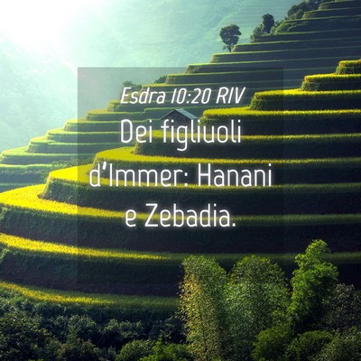 Picture 04 - Esdra 10:20 RIV - Dei figliuoli d’Immer: Hanani e - Bible Verse Picture