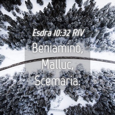 Picture 04 - Esdra 10:32 RIV - Beniamino, Malluc, - Bible Verse Picture