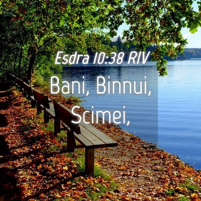 Picture 04 - Esdra 10:38 RIV - Bani, Binnui, - Bible Verse Picture