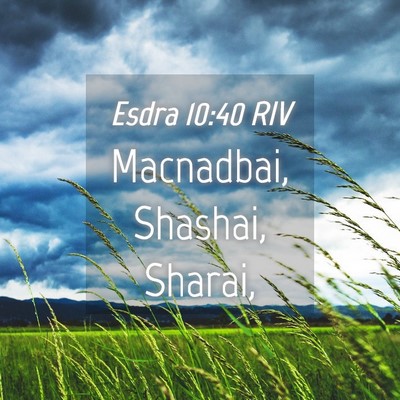 Picture 04 - Esdra 10:40 RIV - Macnadbai, Shashai, - Bible Verse Picture