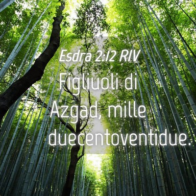 Picture 04 - Esdra 2:12 RIV - Figliuoli di Azgad, mille - Bible Verse Picture