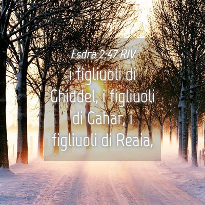 Picture 04 - Esdra 2:47 RIV - i figliuoli di Ghiddel, i figliuoli di Gahar, i - Bible Verse Picture