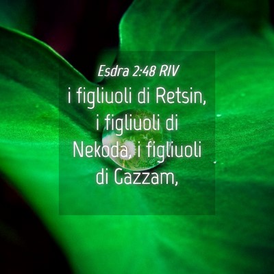Picture 04 - Esdra 2:48 RIV - i figliuoli di Retsin, i figliuoli di Nekoda, i - Bible Verse Picture