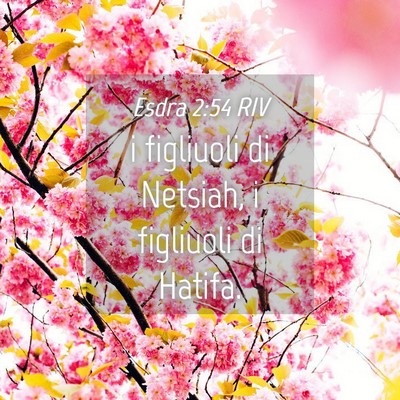 Picture 04 - Esdra 2:54 RIV - i figliuoli di Netsiah, i figliuoli di - Bible Verse Picture
